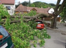 Kwikfynd Tree Cutting Services
sheepstationcreek